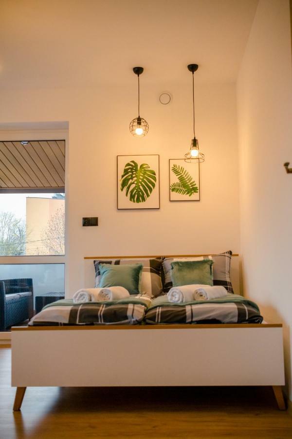 Golden Rooms Blisko Energylandii 扎托尔 外观 照片